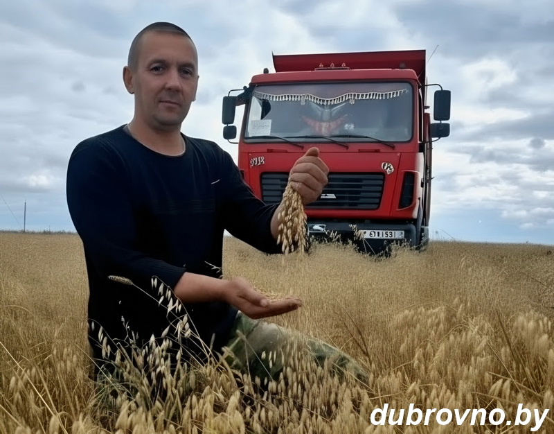 Главный логист полей