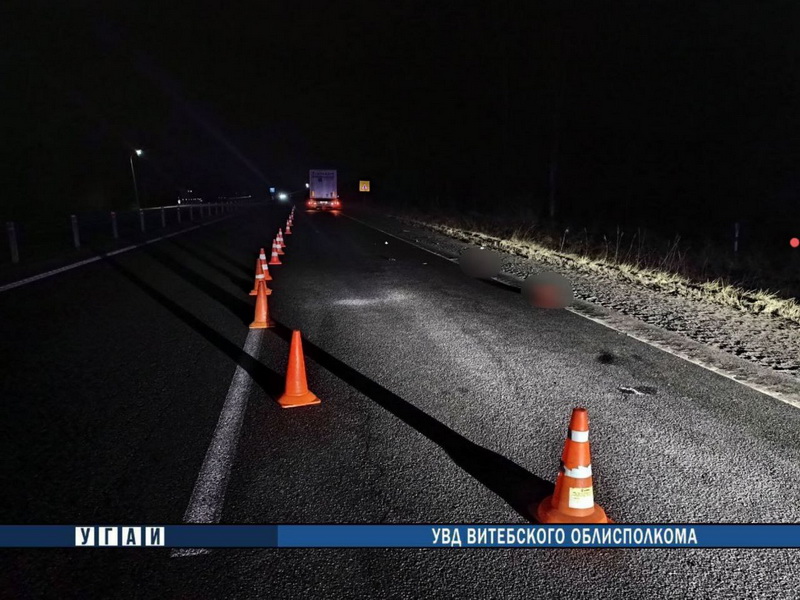 В Дубровенском районе на М-1 пешеход попал под колеса большегруза