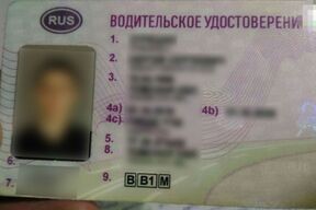 And the license was bought: in Vitsebsk, a driver was caught who had been driving with a fake license for 7 years