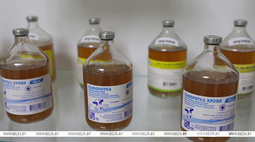 Belarusian scientists good enough to substitute more imported veterinary drugs with local ones